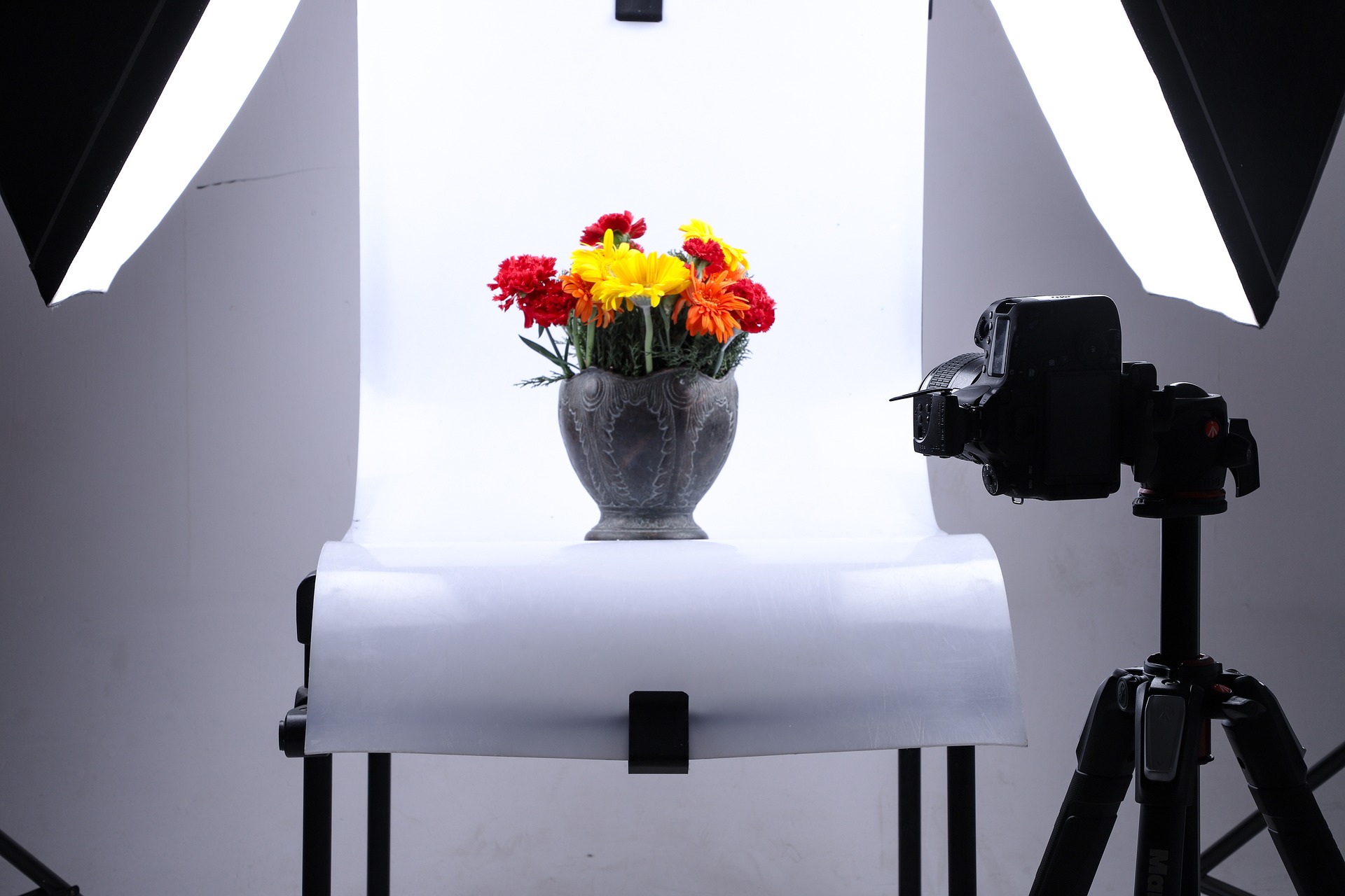 Bloemenfotografie in de studio