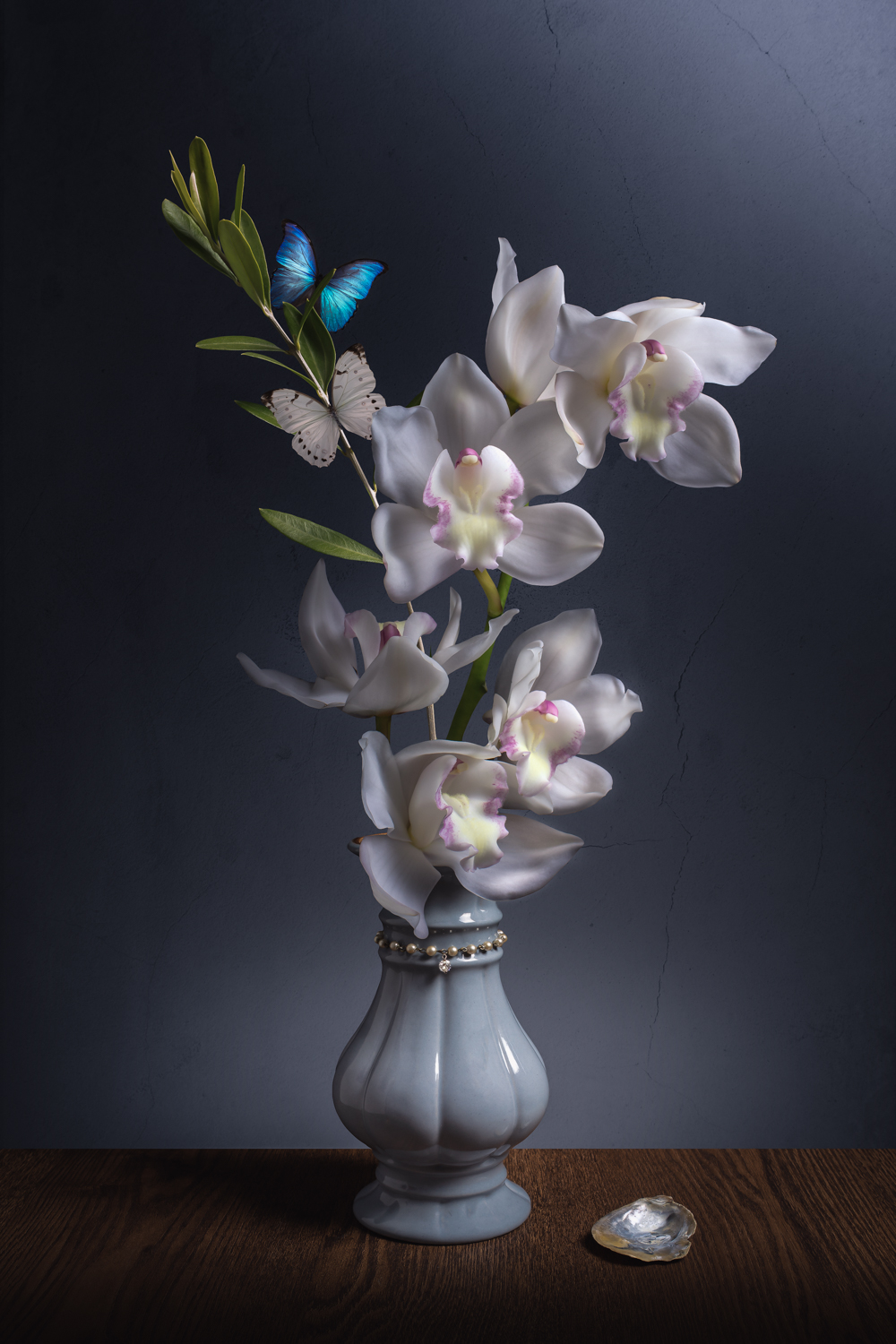 bloemenstilleven met witte orchidee en donkerblauwe achtergrond